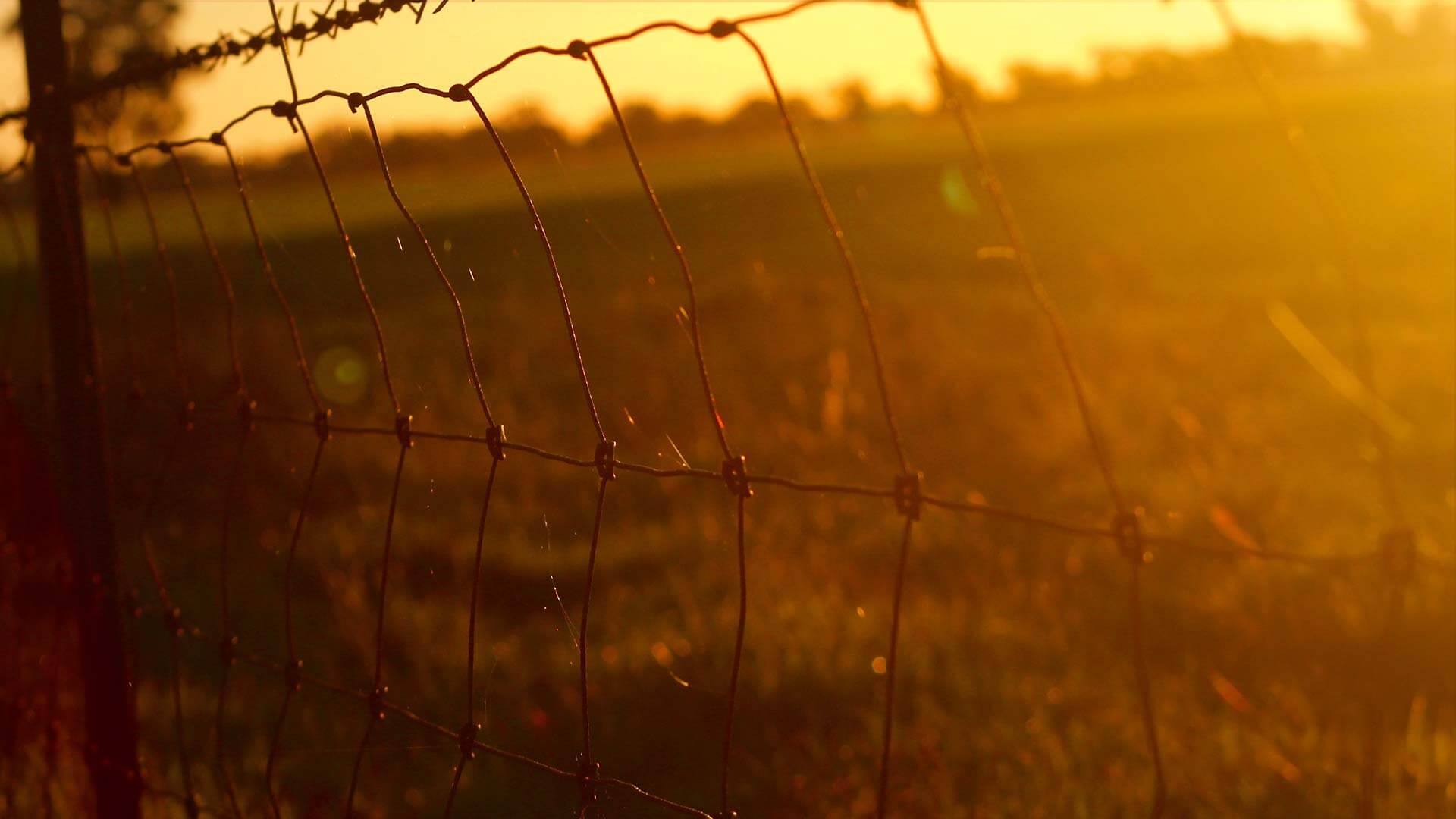 111 Rabbit-Proof Fence Based on a True Story Podcast